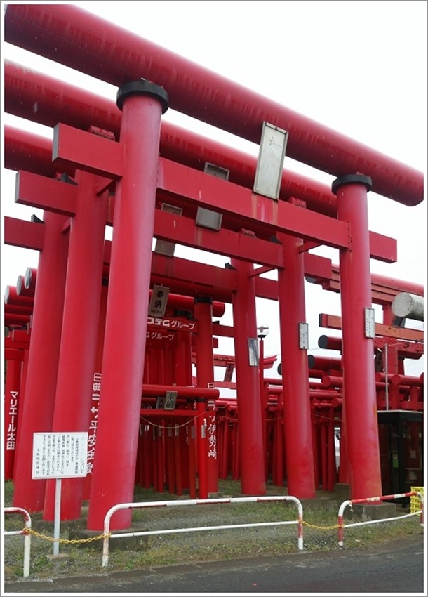 大小さまざまな小泉稲荷神社の鳥居