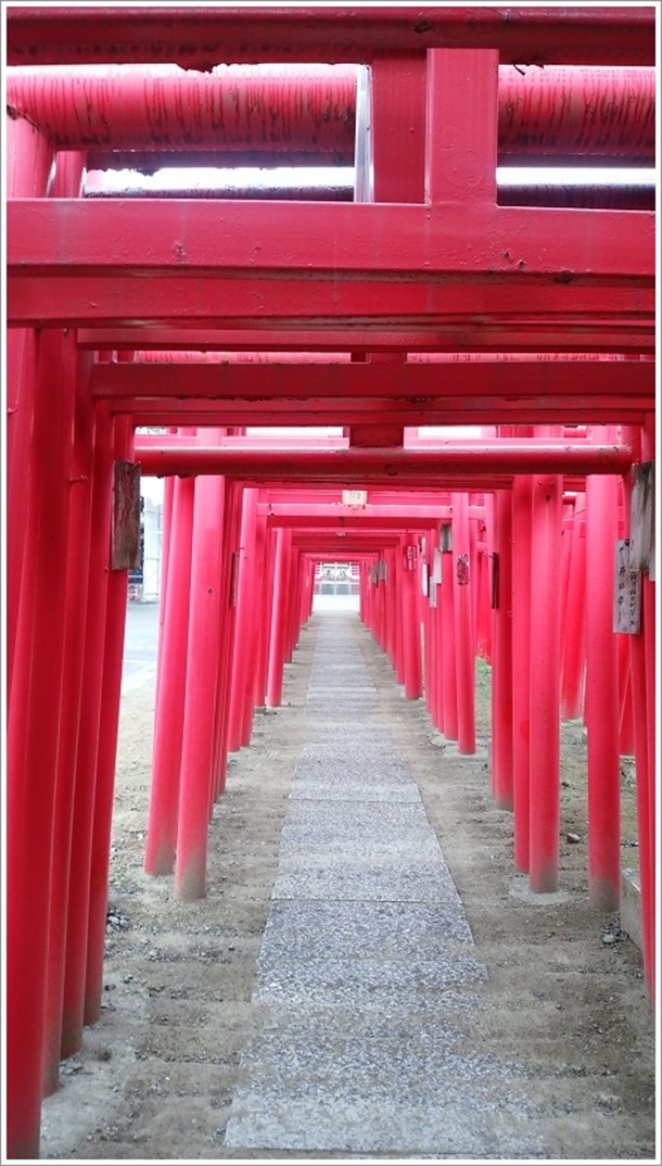 葬儀社の奉納鳥居のトンネル