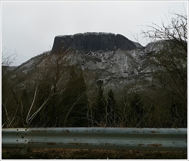 ��������͐^������Ɍ�����r�D�R