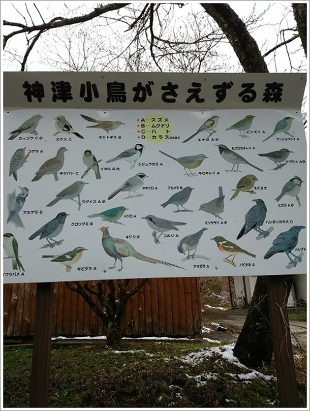 �_�Öq����ӂɂ���쒹