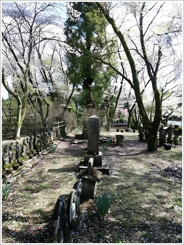 ���V��̕S�ω�