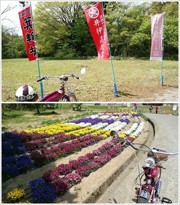 みさと芝桜公園近隣スポットの箕輪城址跡