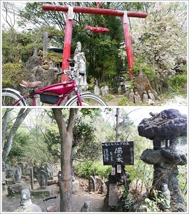 みさと芝桜公園近隣スポットの世にも不思議な木