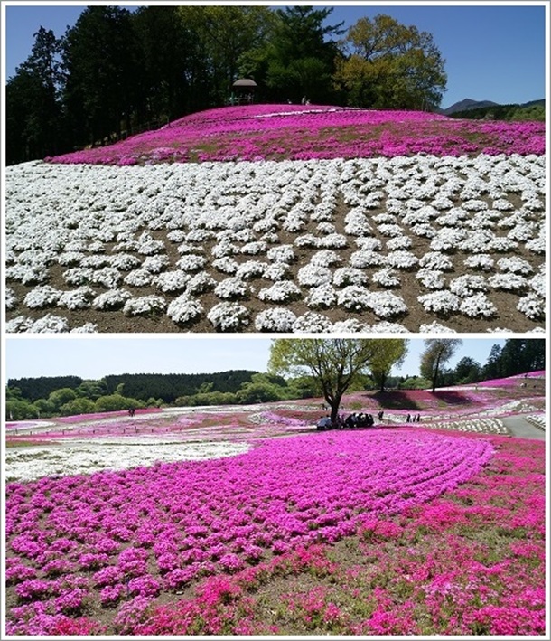 崎市役所前のもてなし広場から移設されたもの