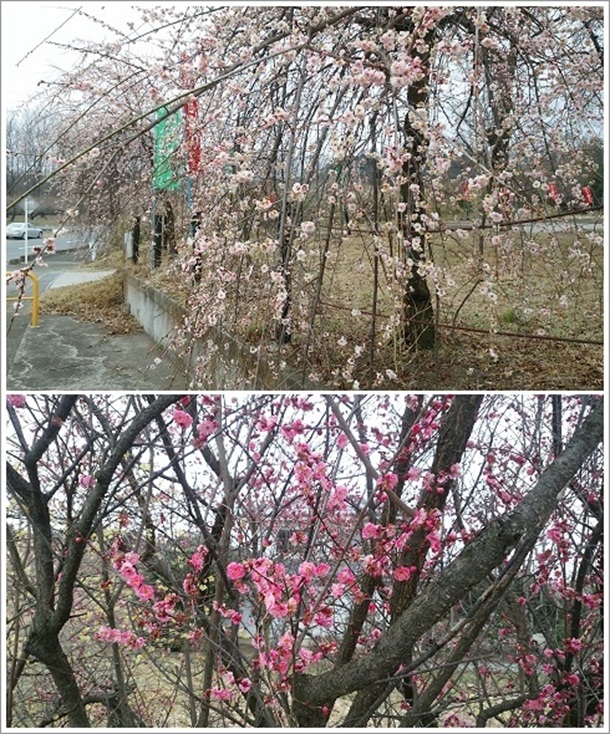 �����~��