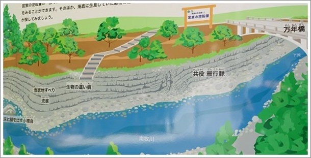 �{���̋t�]�w�i���m�c�W�I�p�[�N�j�Ŕ�