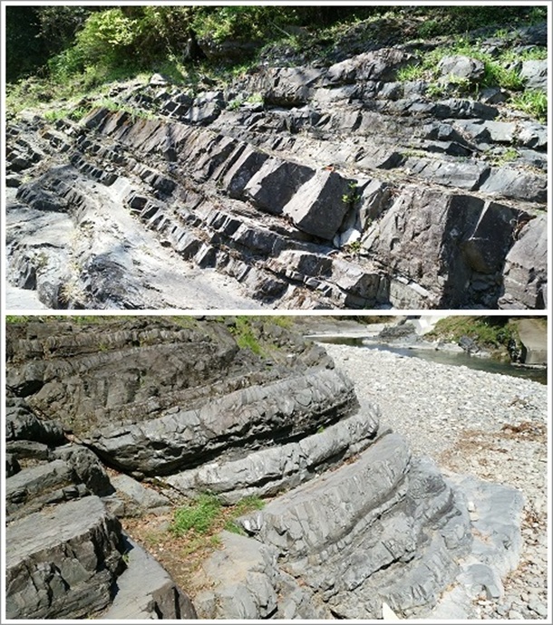 �{���̋t�]�w�i���m�c�W�I�T�C�g�j