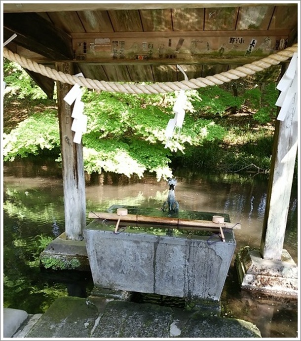 三夜沢赤城神社の池