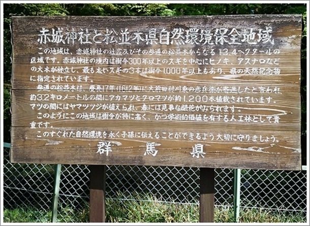 赤城神社と松並木県自然環境保全地域(三夜沢赤城神社)