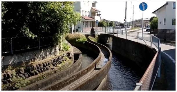 ���̌����̕���