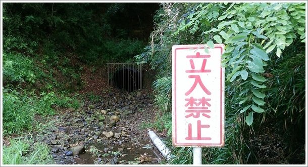 ��������s�@�n���H���