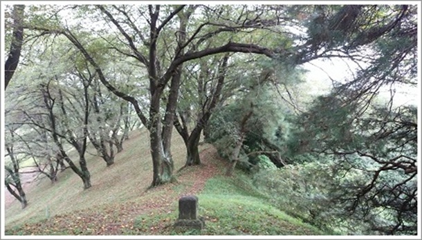 七輿山古墳頂上付近は景色も良いです!