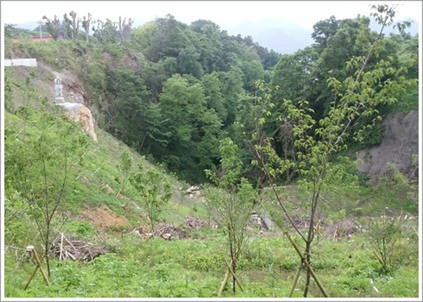 ���c�隬���͂ގ��R�̗v�Q