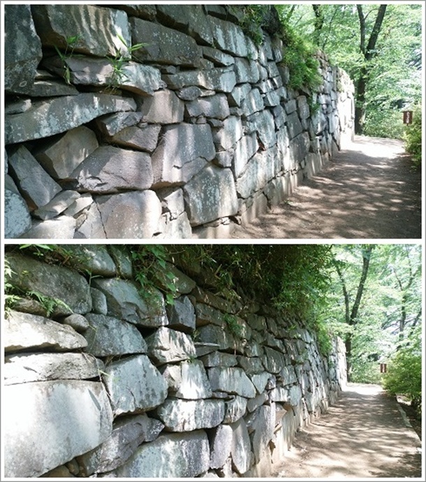 �R�ɖʂ����{�ې��E��̐Ί_�i���c�隬�����j