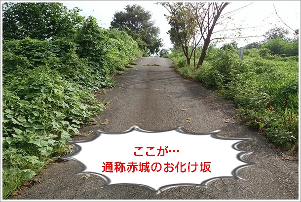 �ʏ́A�Q�n���ԏ�R�̂��΂���