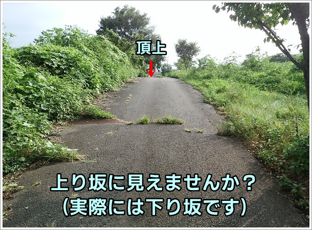 ���悤�Ɍ�����ԏ�̂��΂���