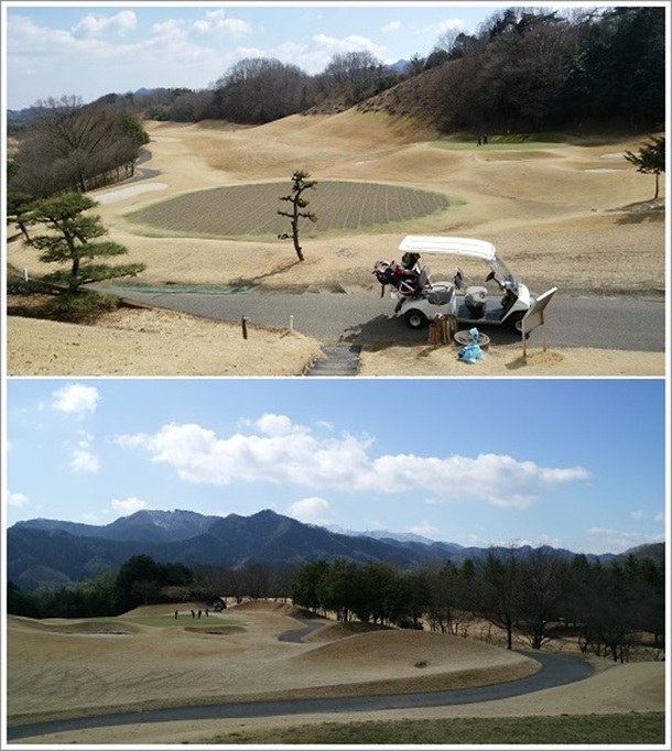 21センチュリー富岡ゴルフコースの8番ホール(パー3)