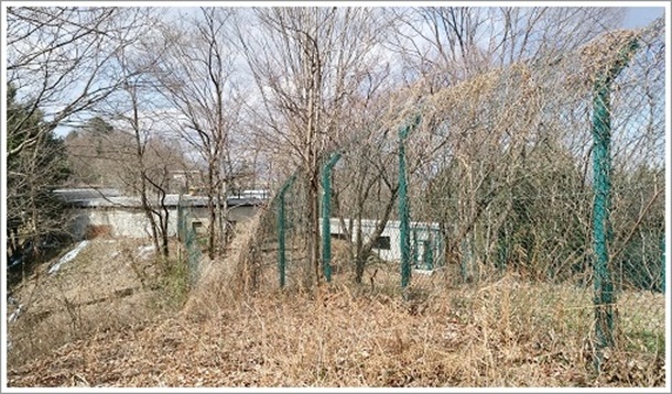 ゴルフ場と群馬サファリパークが隣接してる