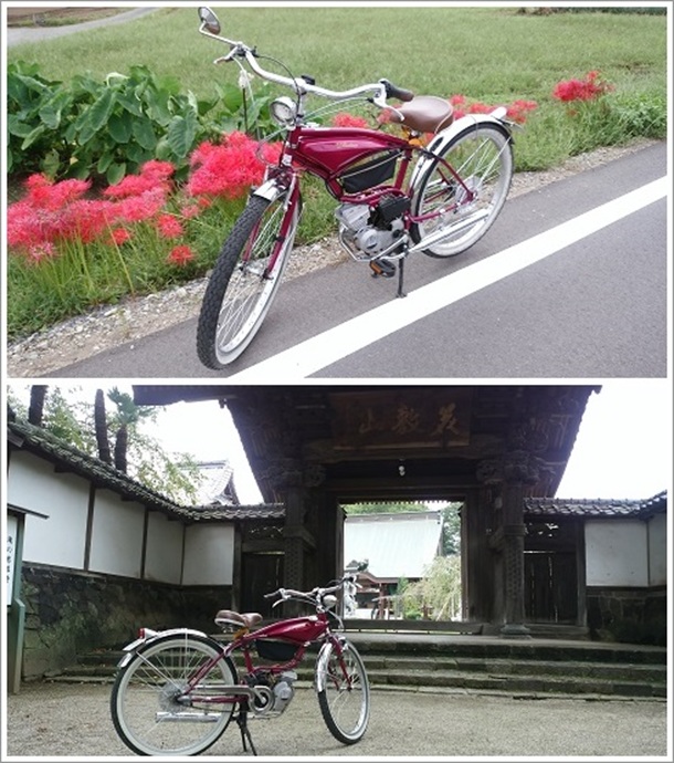 川沿いに咲く彼岸花と慈眼寺(じげんじ)の門