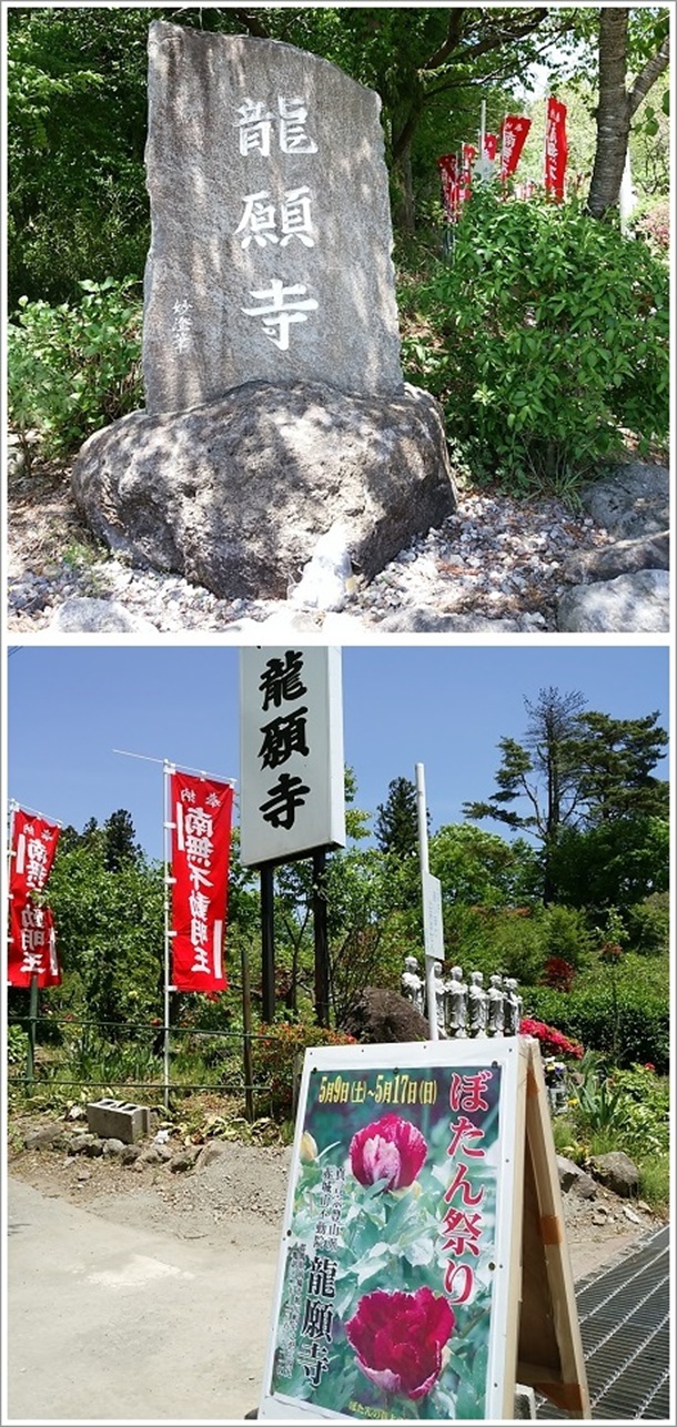 ���莛�i�ڂ���Ղ�j����