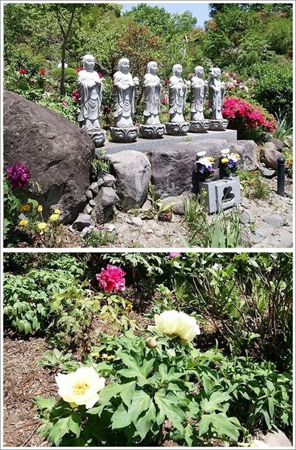 �Z�̂̂��n������i���莛�j