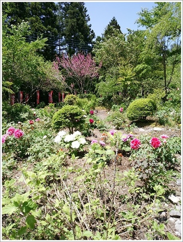 ���莛�i�ڂ���Ղ�j