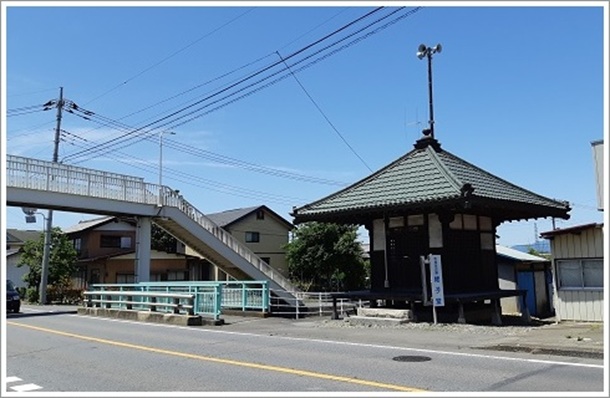 �W�q���i���΂��ǂ��j