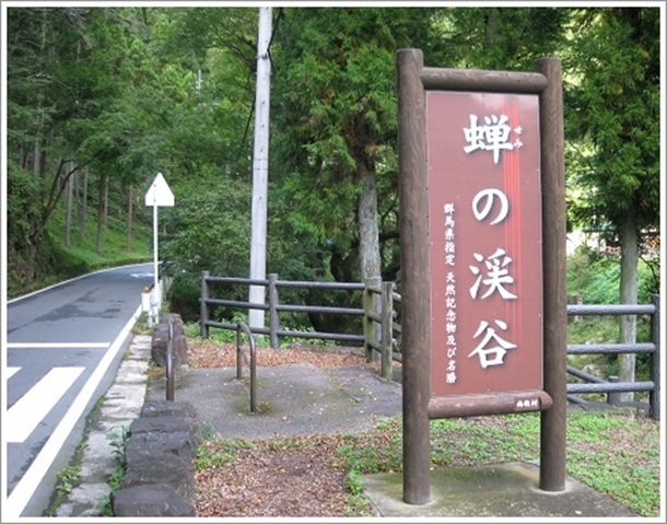 ��̌k�J�̑傫�ȊŔł�