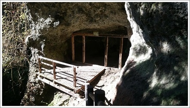 ���̉@����