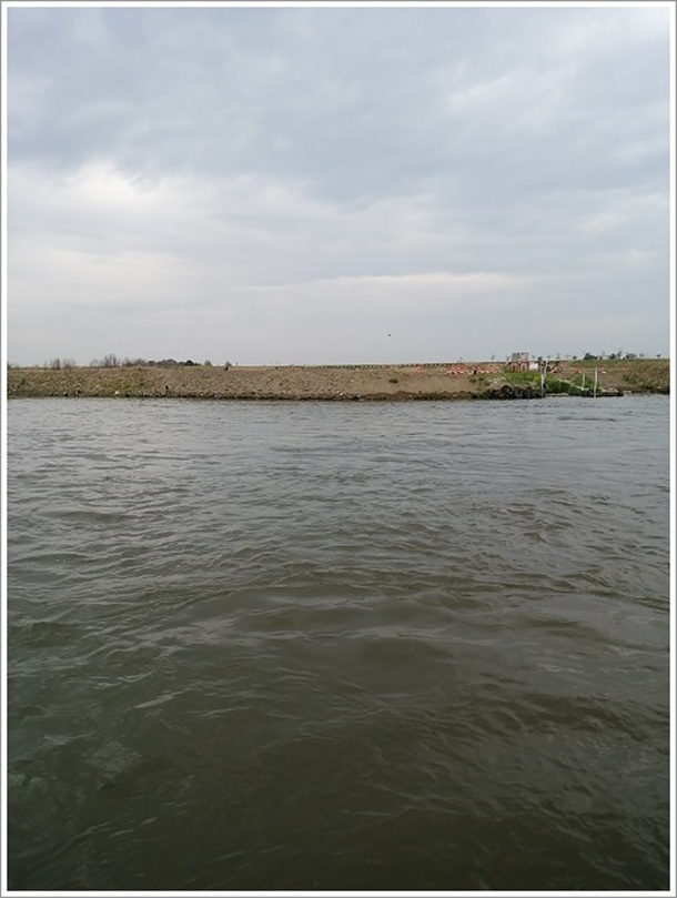 �����n�D��̌�������