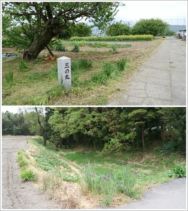 ����隬�ՎO�̊�