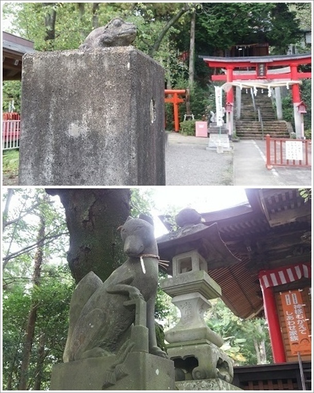 ���K�G���ɗl�X�ȕ\��̌ς����i�G�q��א_�Ёj