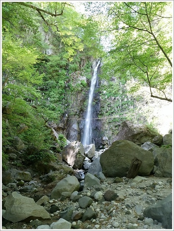 �A��ۂɐU��Ԃ���̕s����