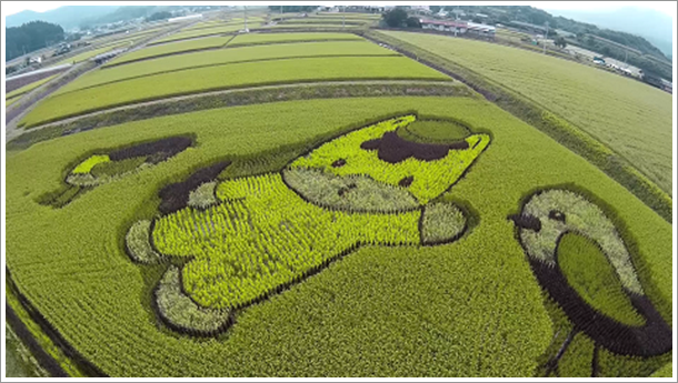 田んぼアートぐんまちゃんと干支