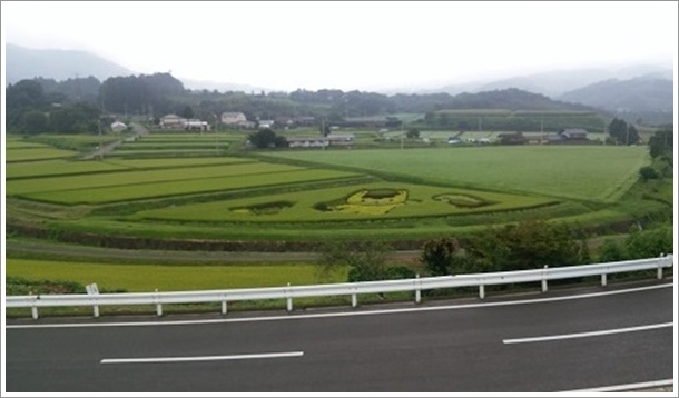 田んぼアートのビューポイントは道の駅中山盆地