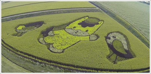 ���R���̓c��ڃA�[�g