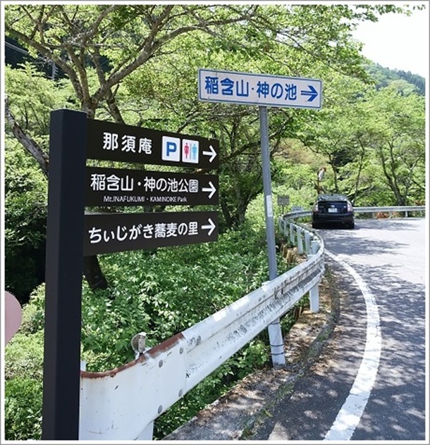 ���������������̗�