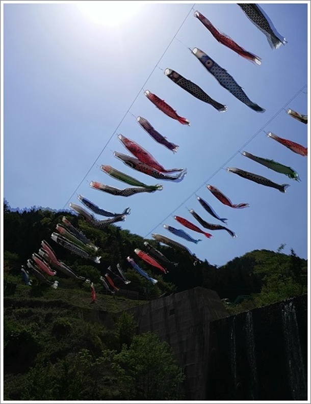 �D��ɋ���j�������̂ڂ�Q