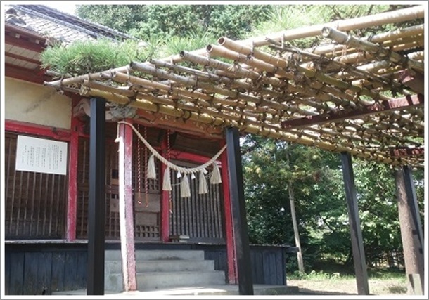 �����_�Ђ܂ő����A��̃}�c�i�}���j�̓A�[�P�[�h�݂���