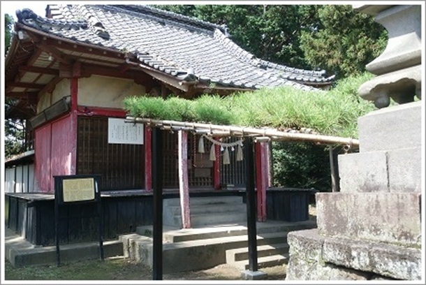 �q�a�O�܂ŘA��̃}�c�i�}���j���Ȃ���