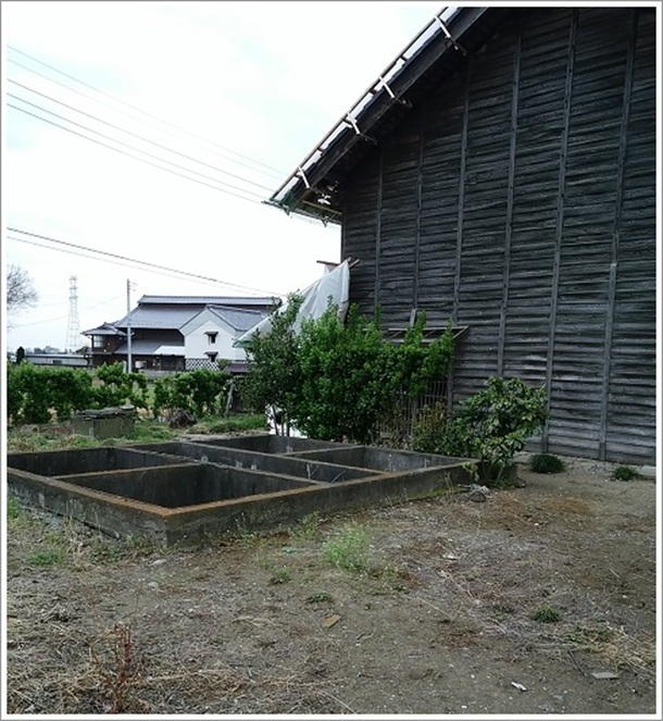 �c���핽����̗①�ɐՒn