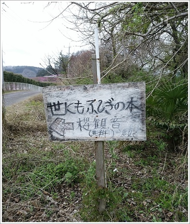 ���ɂ��s�v�c�̖؂̈ē��Ŕ�