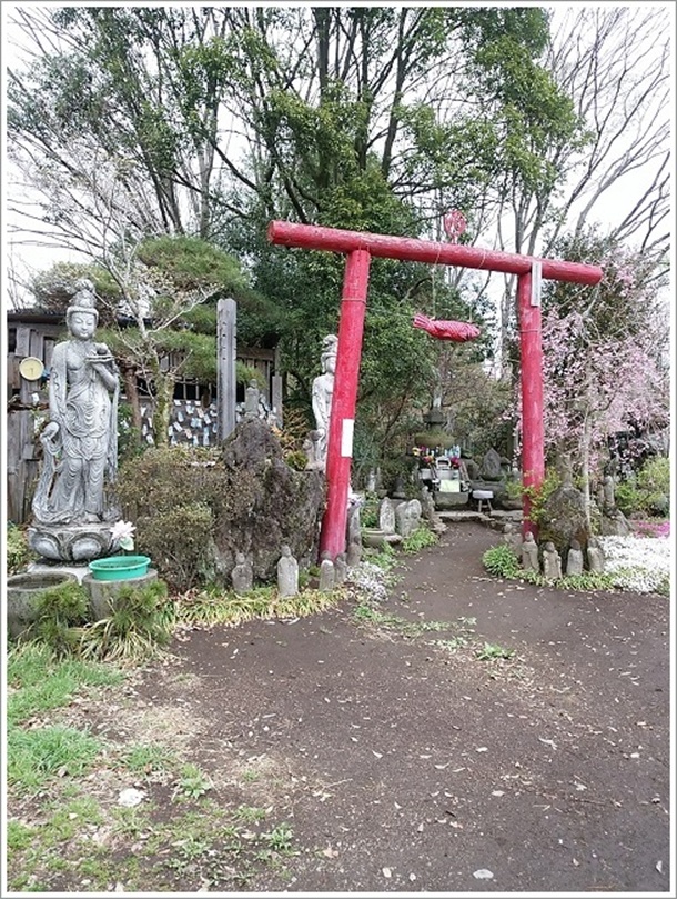 ���ɂ��s�v�c�̖ؒ���