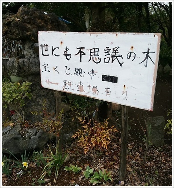 ���ɂ��s�v�c�̖ؒ��ԏ�