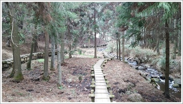 ���̌E�̃U�[���\�E�Q���n�V����