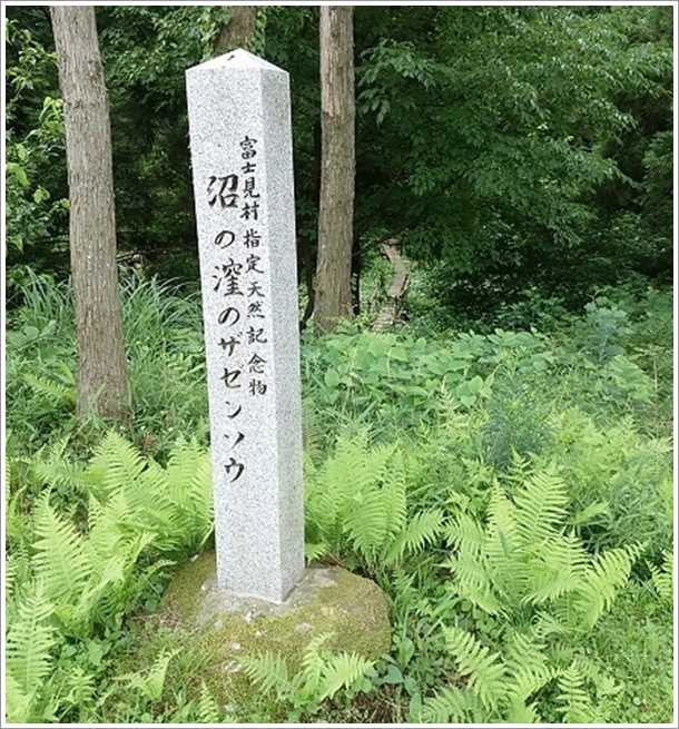 �x�m�����w����̌E�̃U�[���\�E�͓V�R�L�O��