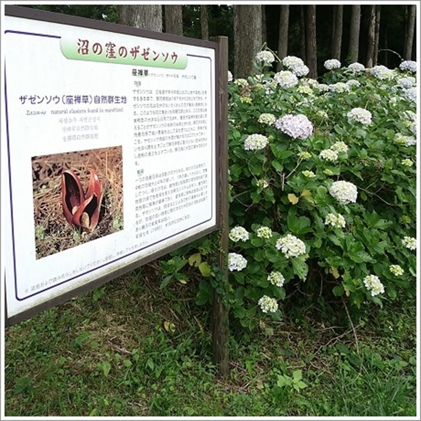 ���̌E�U�[���\�E���R�Q���n�̈ē���