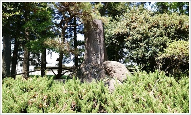 �V��Ֆ{�ۍL��