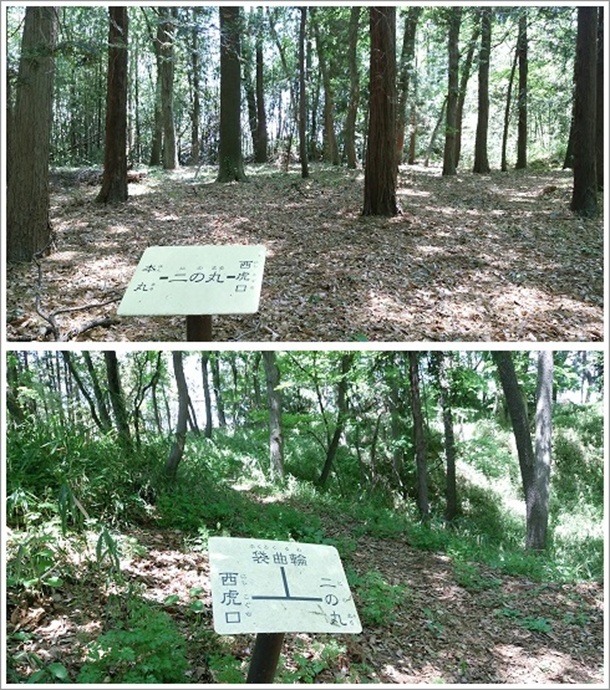 �V��Փ�̊ۂƑ܋ȗ�