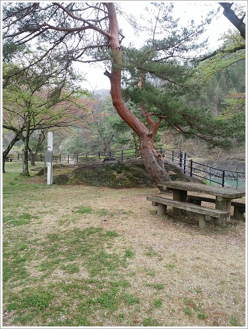 かに石おう穴がある敷地内